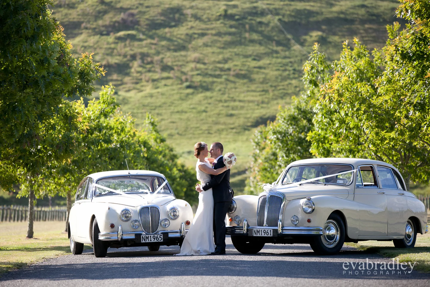 wedding photography hawkes bay
