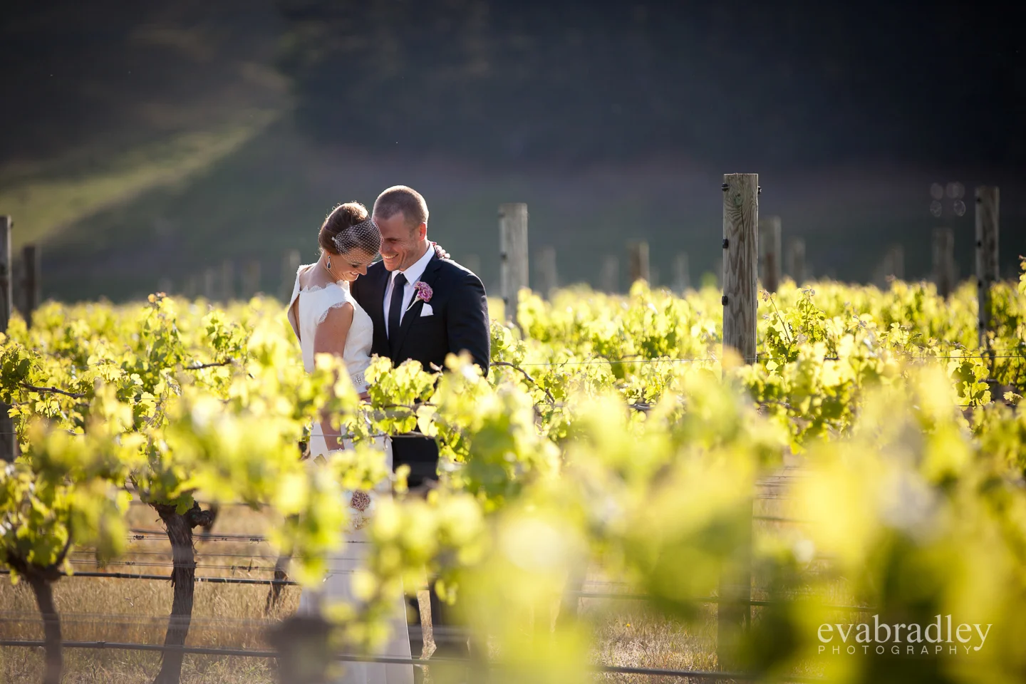 wedding photography hawkes bay