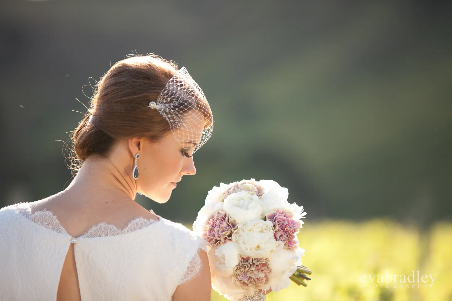 wedding photography hawkes bay