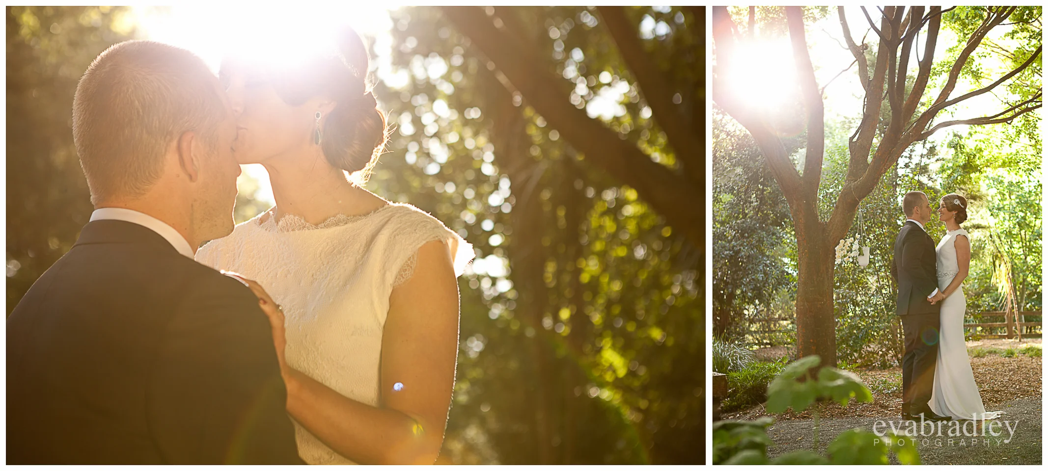 wedding photography hawkes bay