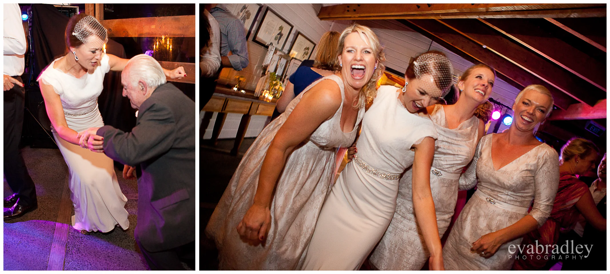 wedding photography hawkes bay