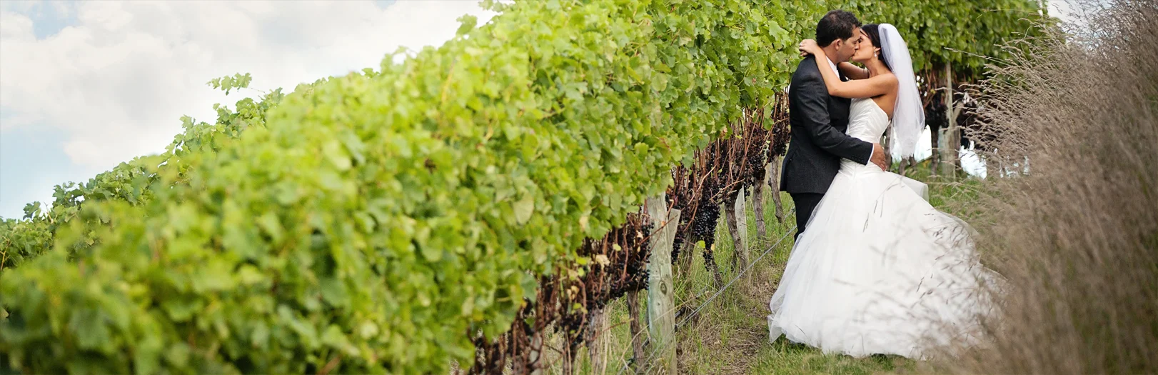 wedding photography hawkes bay