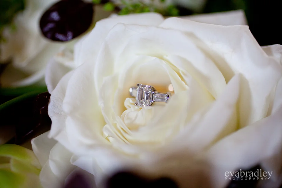 Hawkes Bay wedding venues