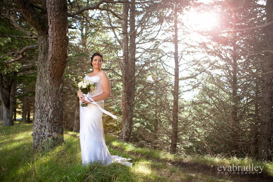 Hawkes Bay wedding venues