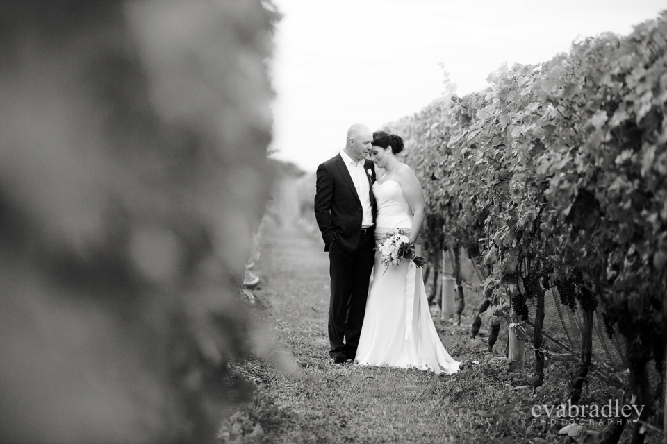 Hawkes Bay wedding venues