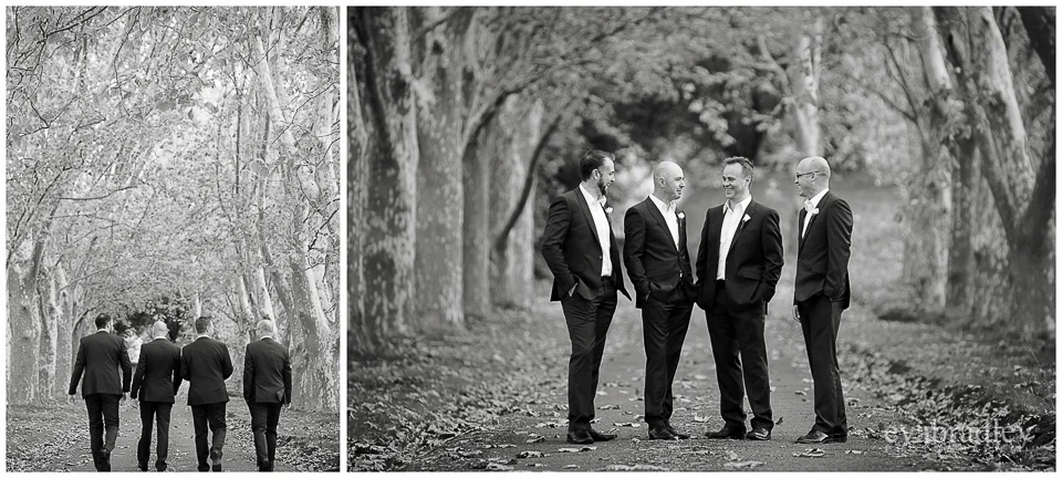 Hawkes Bay wedding venues