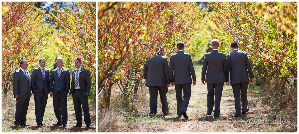 Hawkes Bay wedding photographers