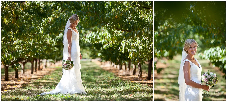 Hawkes Bay wedding photographers