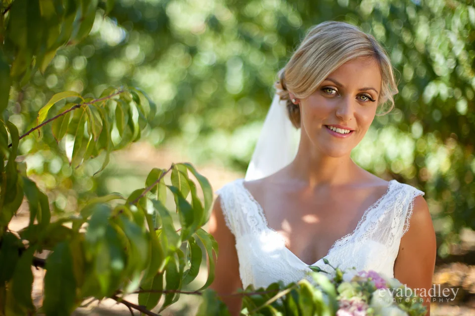 Hawkes Bay wedding photographers