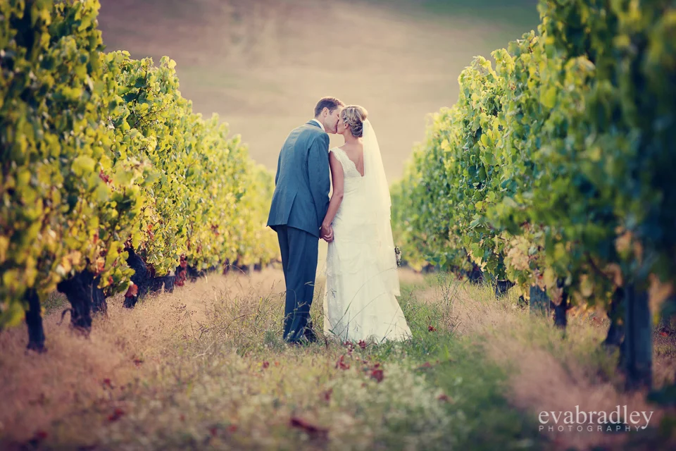 Hawkes Bay wedding photographers