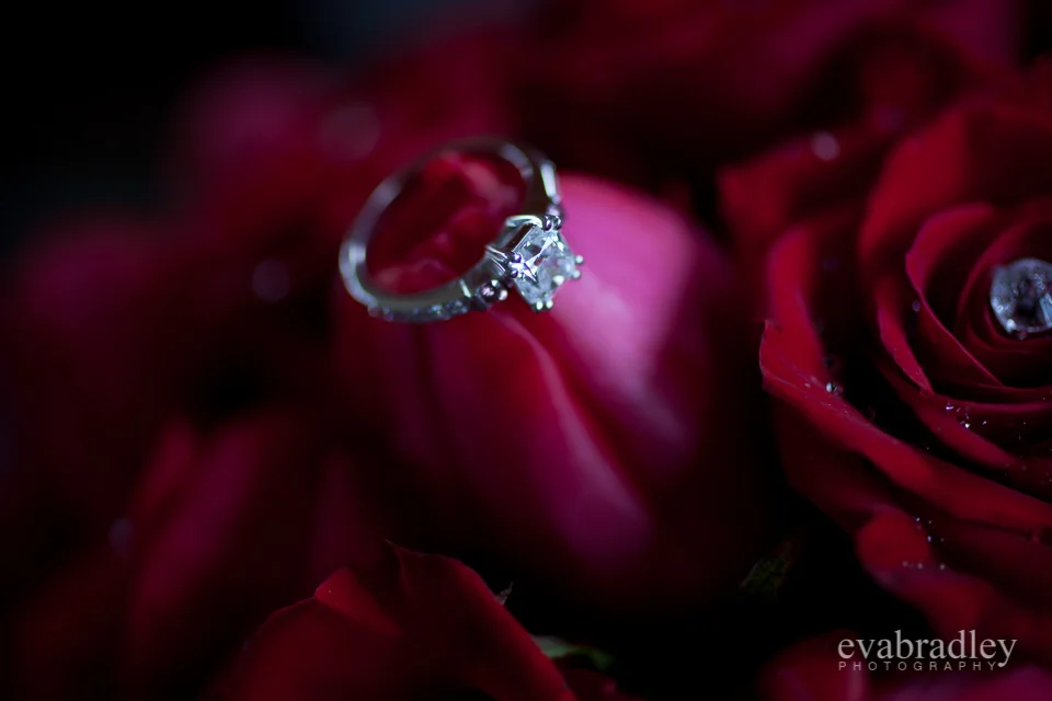 Hawkes Bay wedding photographers