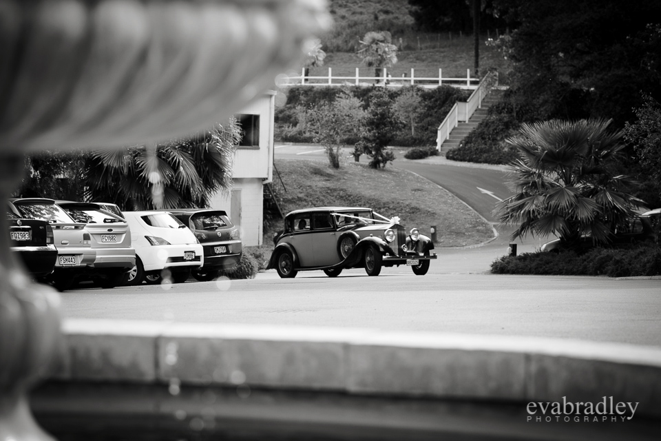 Hawkes Bay wedding photographers