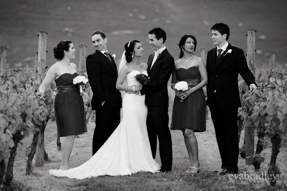 Hawkes Bay wedding photographers