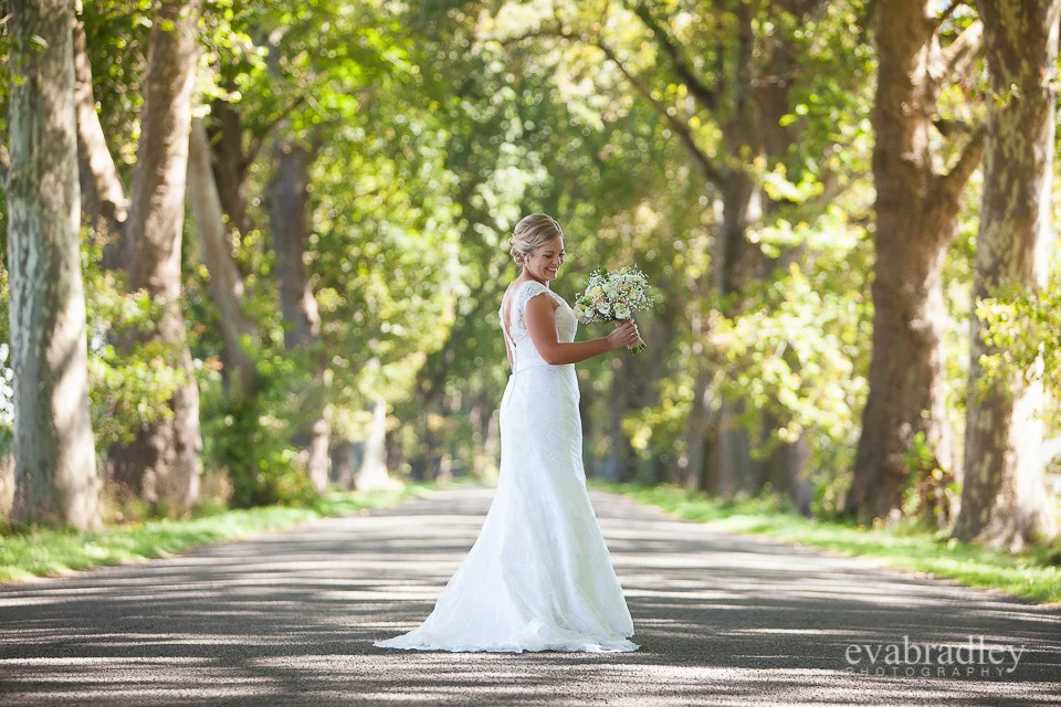 Sileni Estate by Michelle Fey