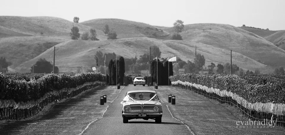 Sileni Estate by Michelle Fey