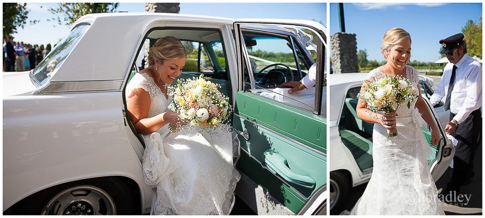 Sileni Estate by Michelle Fey