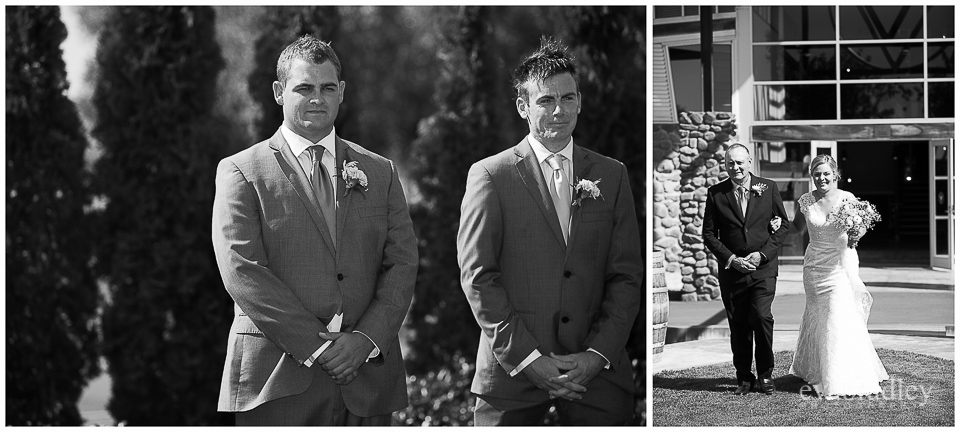 Sileni Estate by Michelle Fey