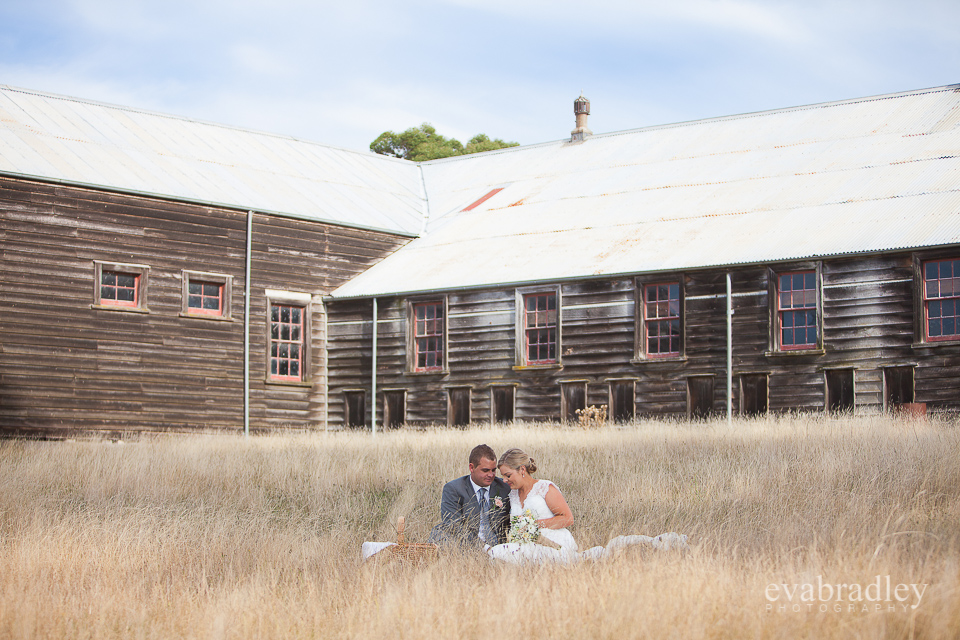 Sileni Estate by Michelle Fey