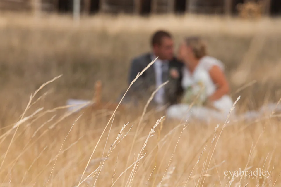 Sileni Estate by Michelle Fey