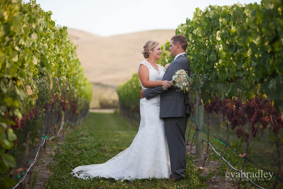 Sileni Estate by Michelle Fey