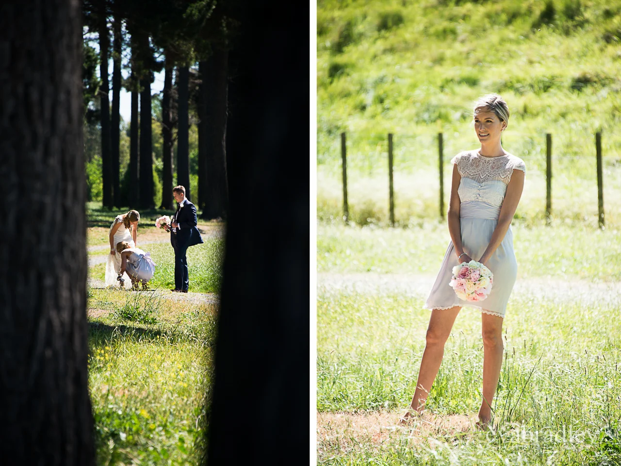 Hawkes Bay wedding venues