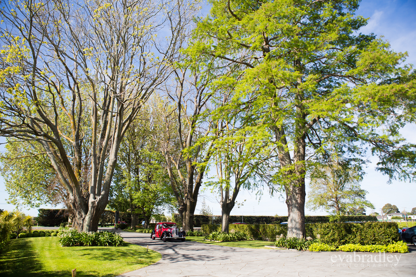 Hawkes Bay wedding venues