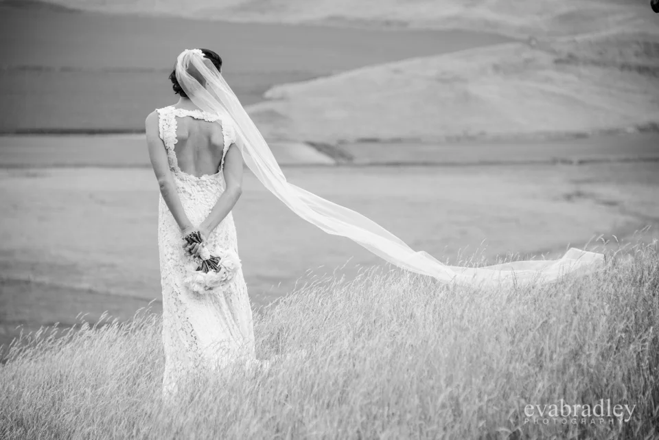 Greenhill Lodge, Hawke's Bay. Top New Zealand wedding venue