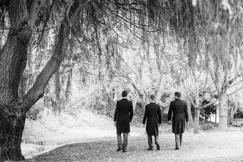 Sileni Estate Winery, 31st January, 2015