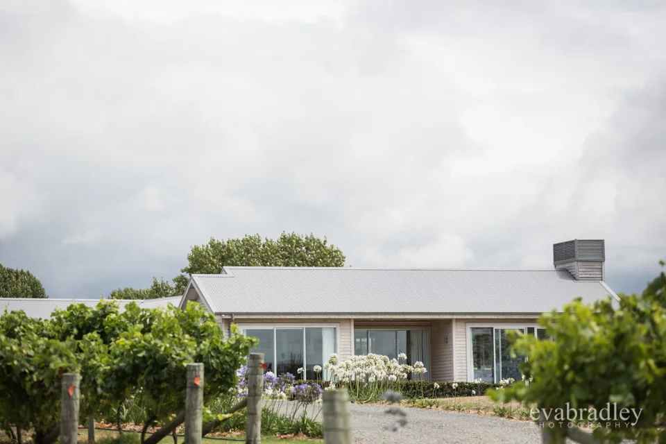 Sileni Estate Winery, 31st January, 2015