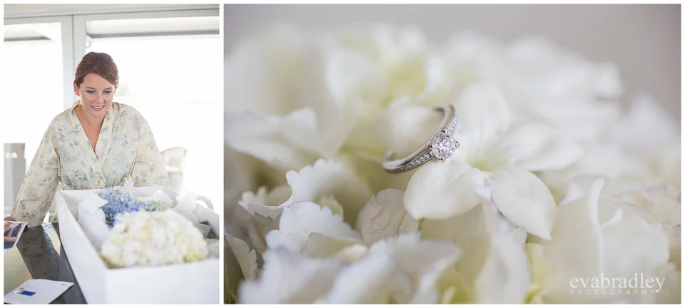 Sileni Estate Winery, 31st January, 2015