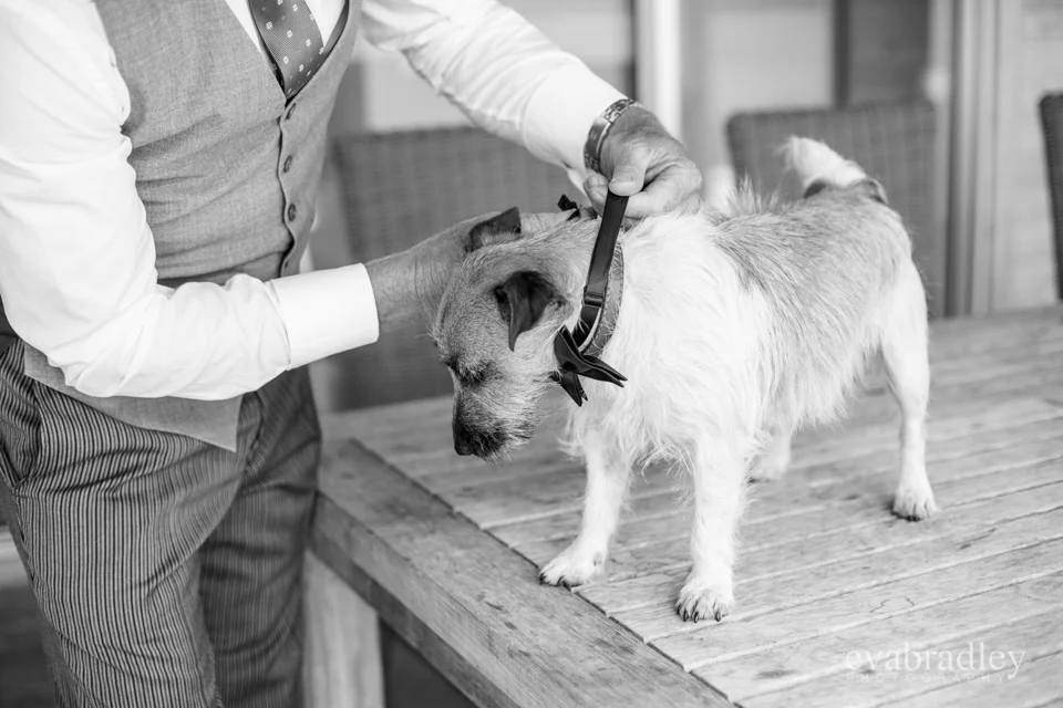 Sileni Estate Winery, 31st January, 2015