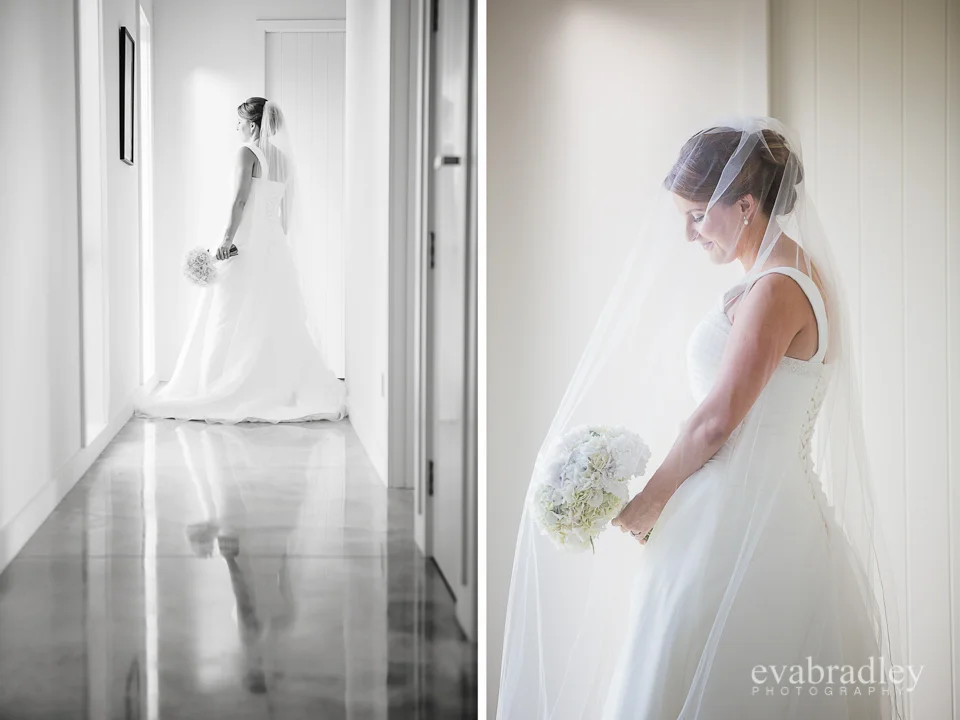 Sileni Estate Winery, 31st January, 2015