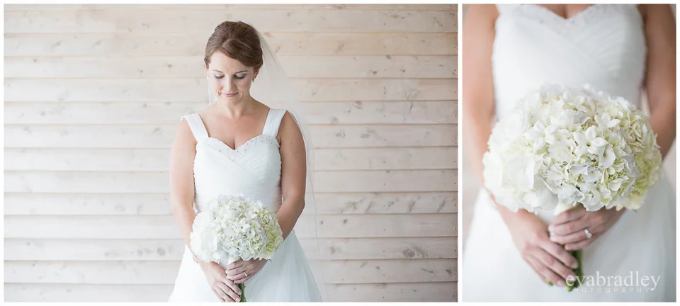 Sileni Estate Winery, 31st January, 2015