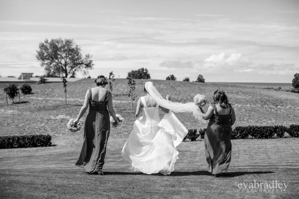 Sileni Estate Winery, 31st January, 2015