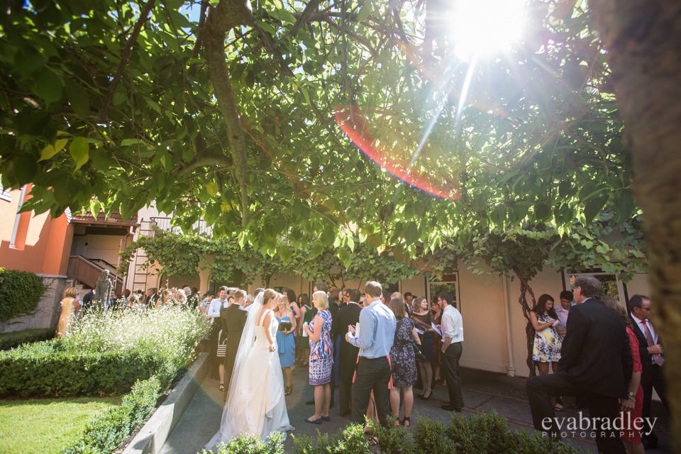 Sileni Estate Winery, 31st January, 2015