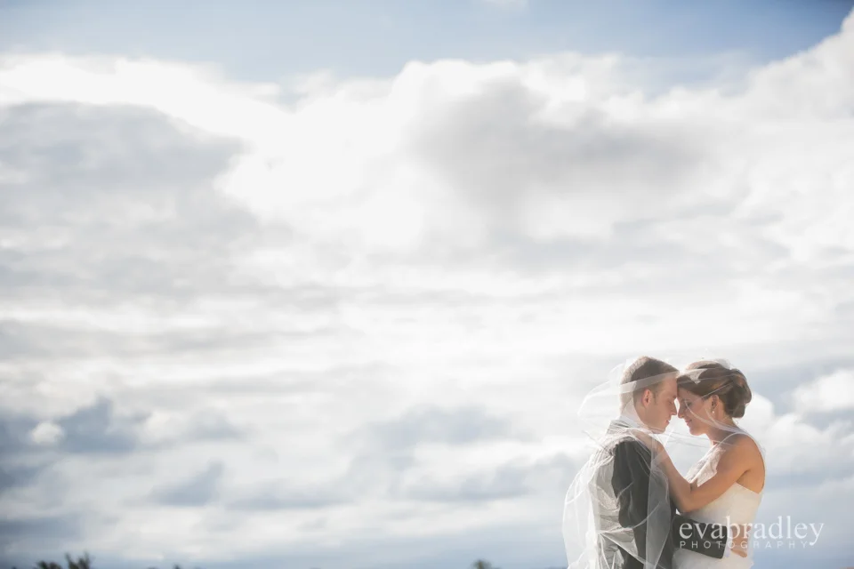 Sileni Estate Winery, 31st January, 2015