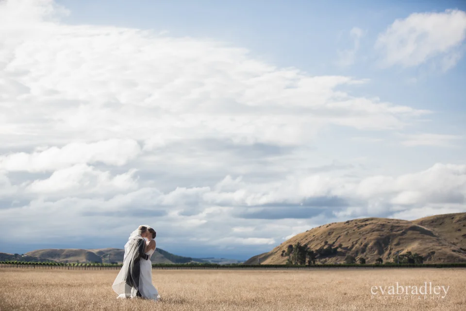 Sileni Estate Winery, 31st January, 2015