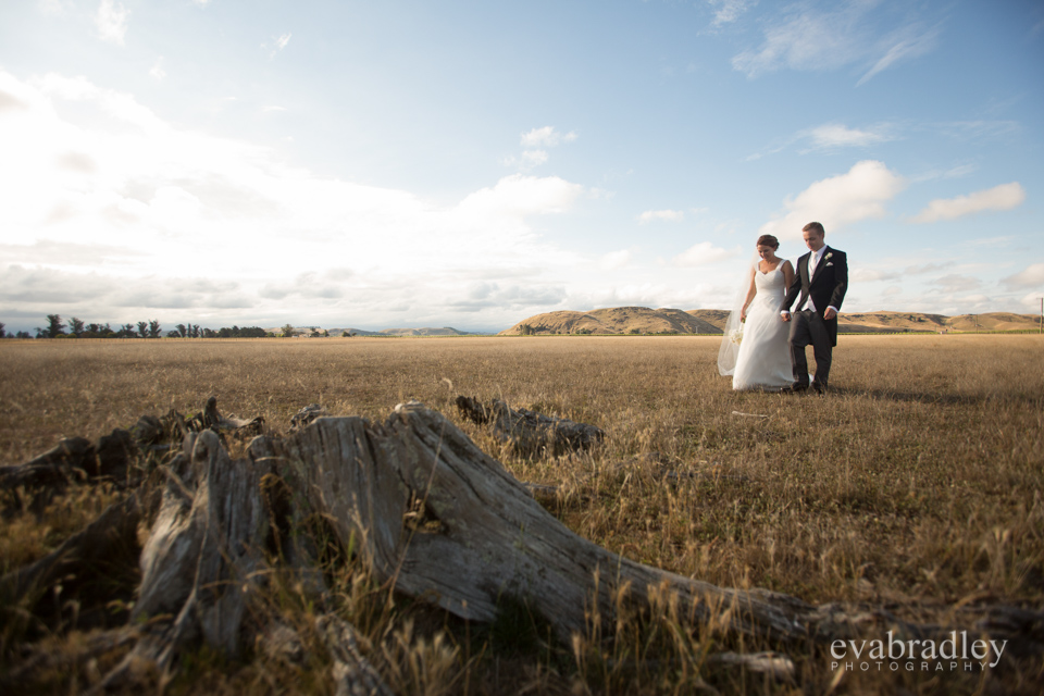 Sileni Estate Winery, 31st January, 2015