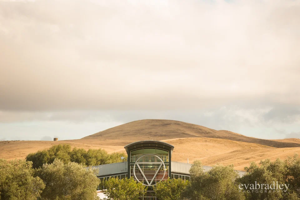 Sileni Estate Winery, 31st January, 2015