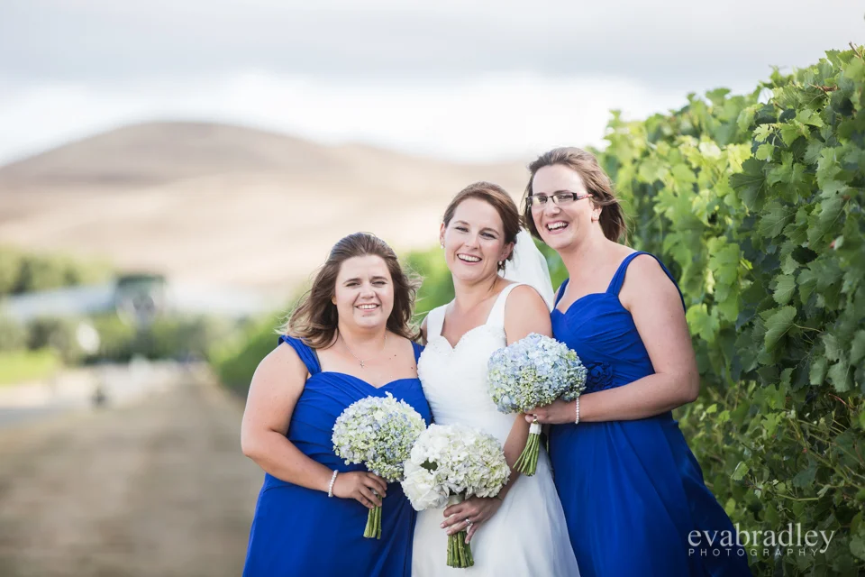 Sileni Estate Winery, 31st January, 2015