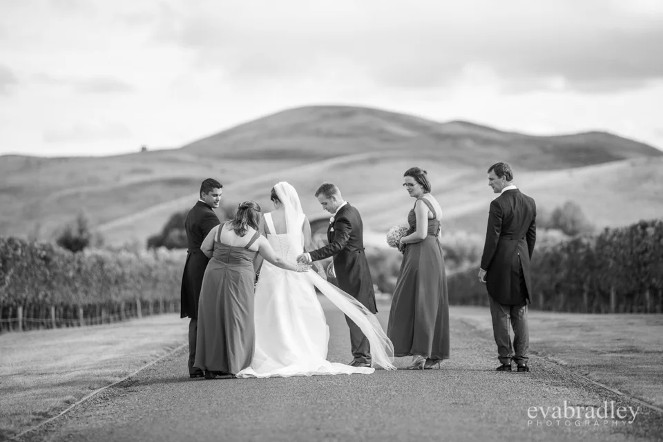 Sileni Estate Winery, 31st January, 2015