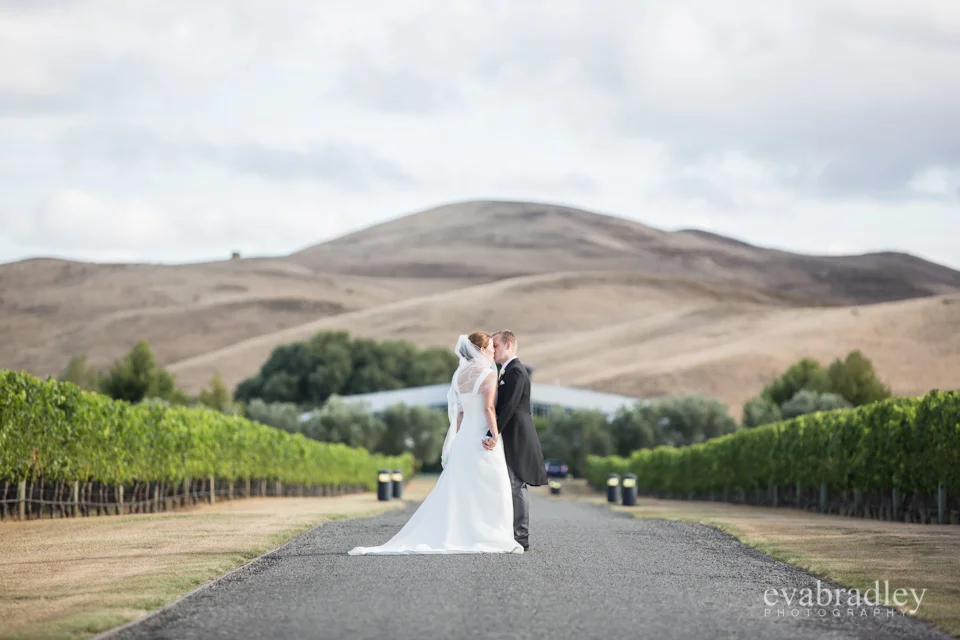 Sileni Estate Winery, 31st January, 2015