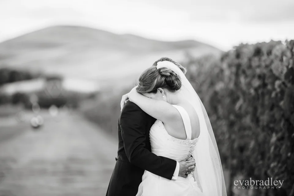 Sileni Estate Winery, 31st January, 2015