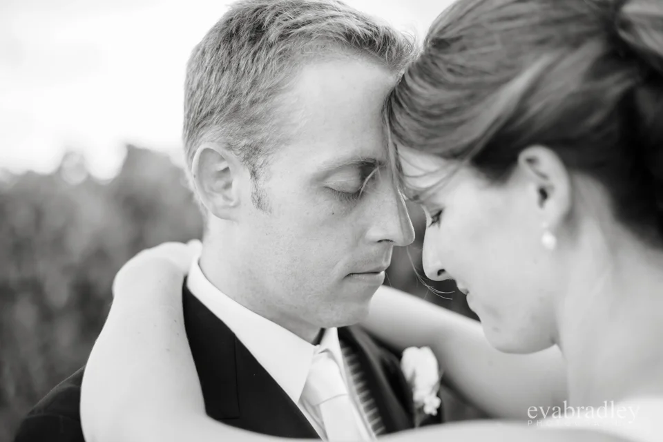 Sileni Estate Winery, 31st January, 2015