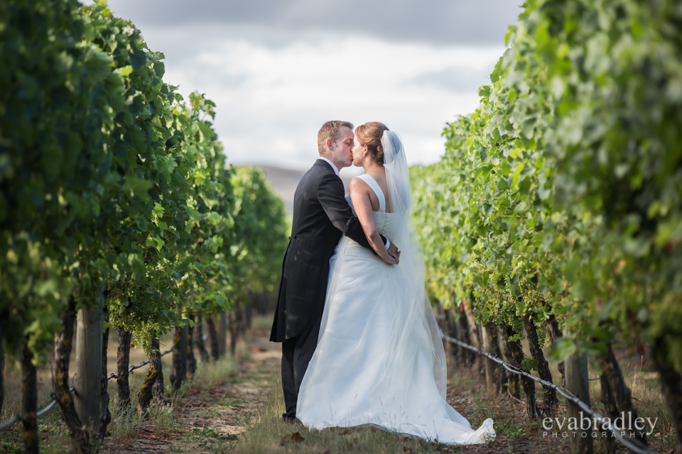 Sileni Estate Winery, 31st January, 2015