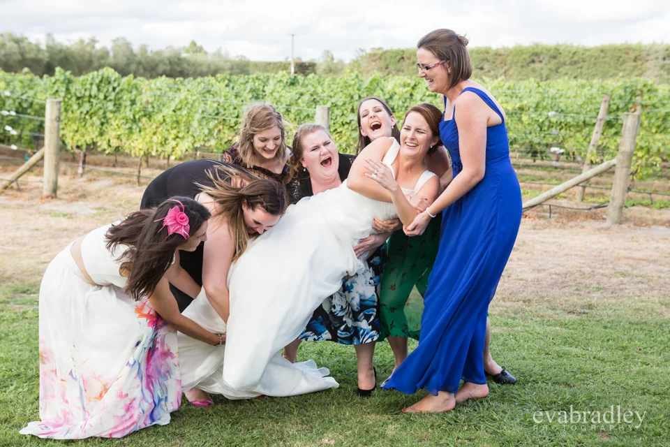 Sileni Estate Winery, 31st January, 2015