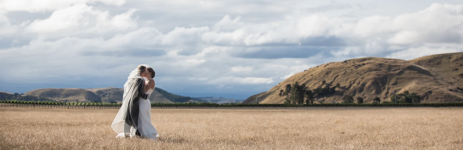 Sileni Estate Winery, 31st January, 2015
