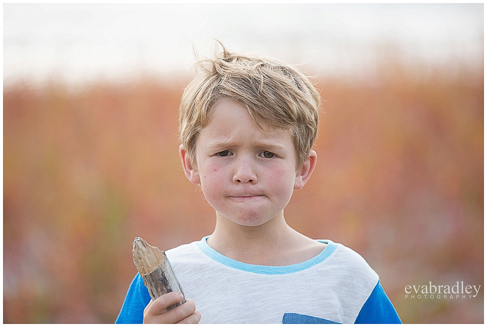 Lifestyle family photography, Napier, Havelock North, Hawke's Bay