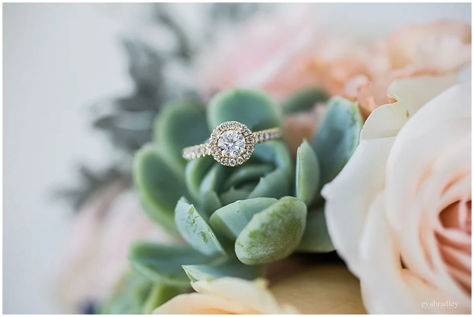 Sileni Winery wedding by Hawkes Bay wedding photographers, Eva Bradley Photography