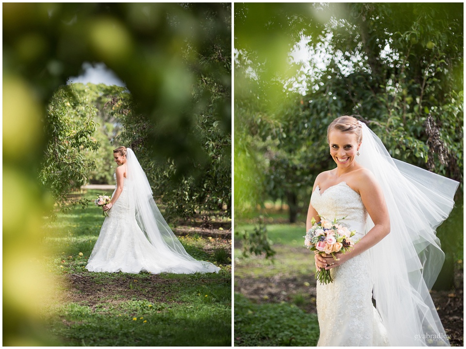 Sileni Winery wedding by Hawkes Bay wedding photographers, Eva Bradley Photography